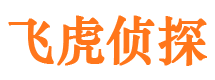 隆回市侦探调查公司